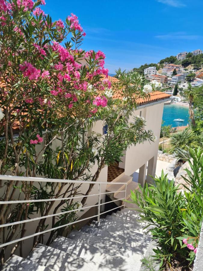 Apartments Apartmani Pintar Mimice Kültér fotó