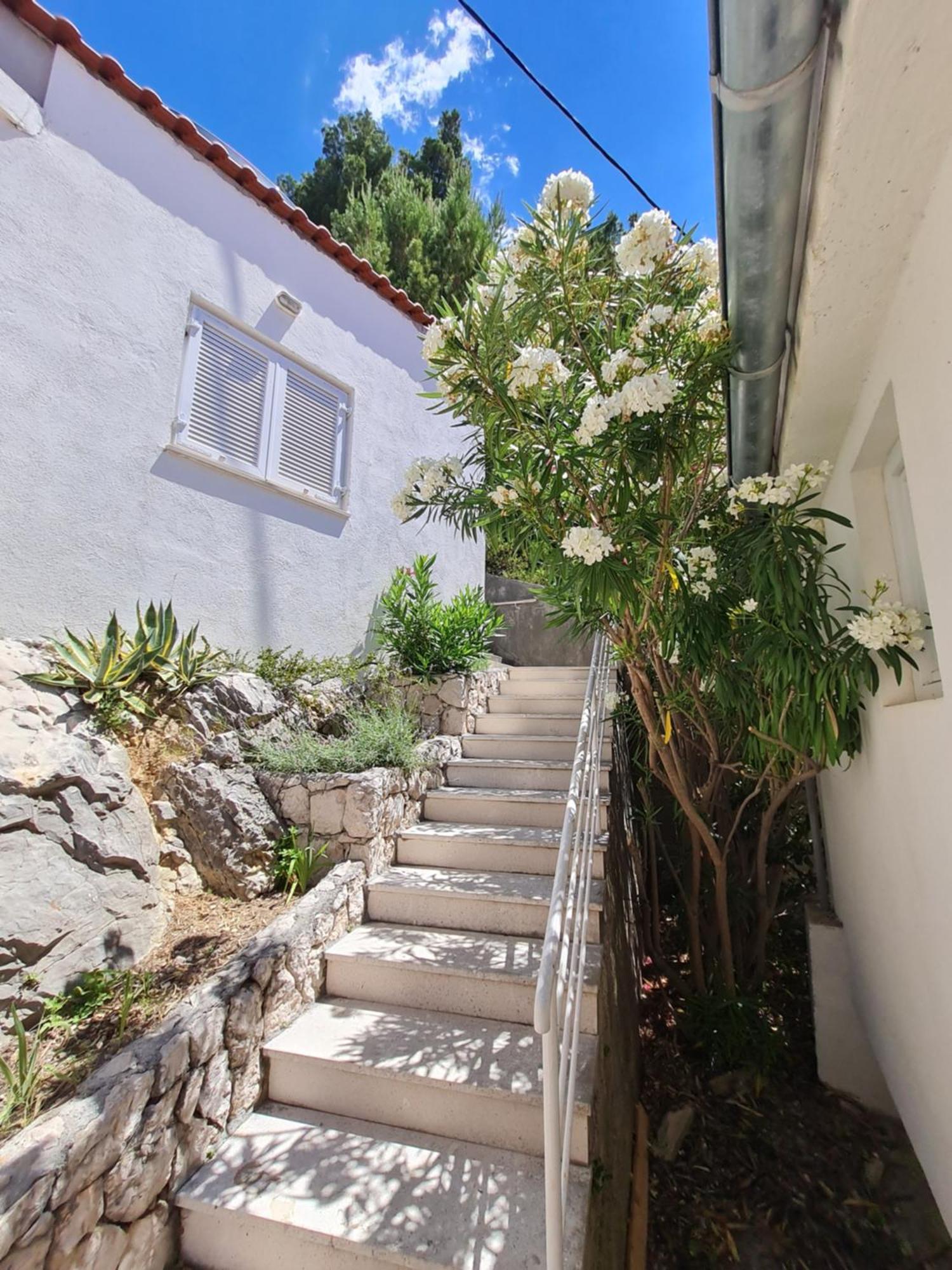 Apartments Apartmani Pintar Mimice Kültér fotó
